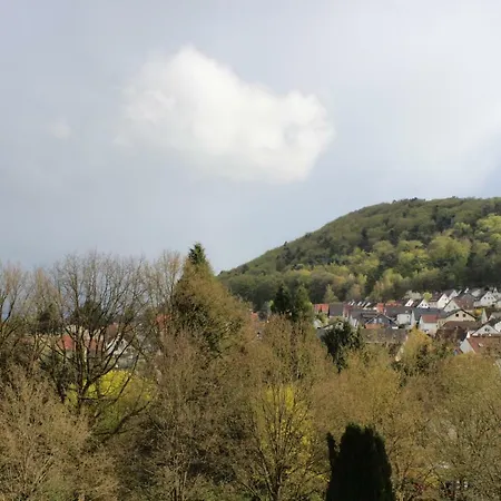 아파트 In Marburg/wehrda 마르부르크